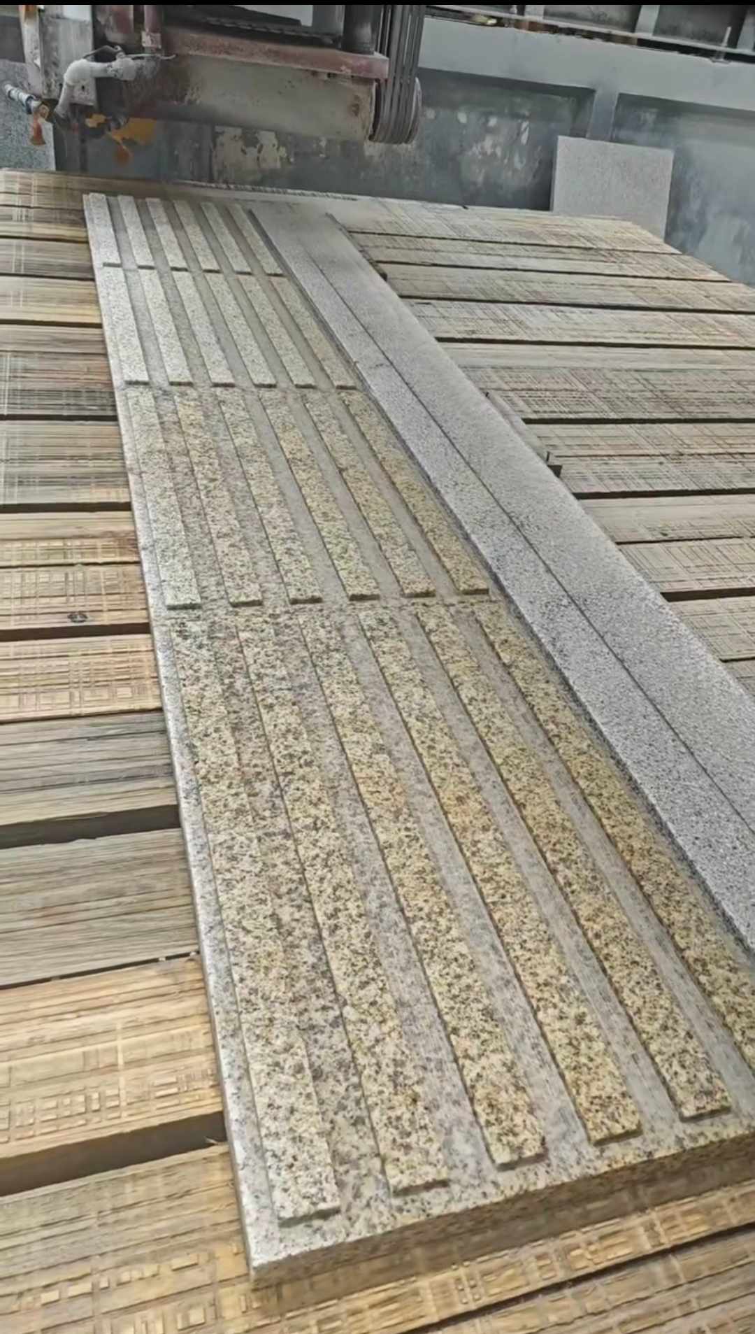 普洱黄金麻盲道石 盲条